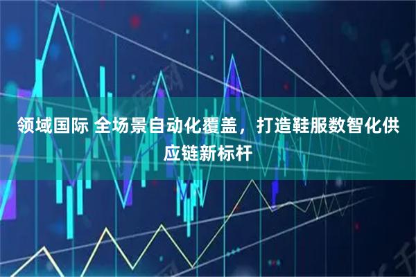 领域国际 全场景自动化覆盖，打造鞋服数智化供应链新标杆