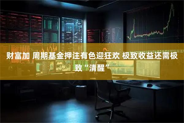 财富加 周期基金押注有色迎狂欢 极致收益还需极致“清醒”