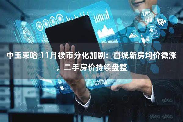 中玉束哈 11月楼市分化加剧：百城新房均价微涨，二手房价持续盘整