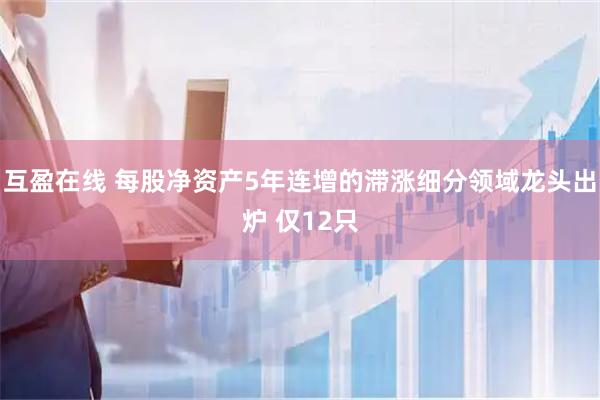 互盈在线 每股净资产5年连增的滞涨细分领域龙头出炉 仅12只