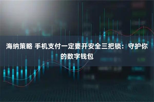 海纳策略 手机支付一定要开安全三把锁:守护你的数字钱包