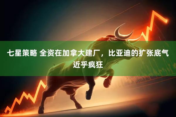 七星策略 全资在加拿大建厂，比亚迪的扩张底气近乎疯狂