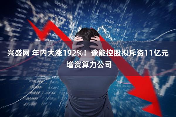兴盛网 年内大涨192%！豫能控股拟斥资11亿元 增资算力公司