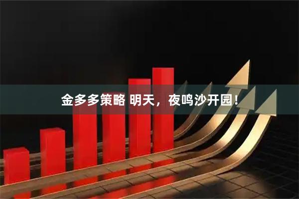 金多多策略 明天，夜鸣沙开园！