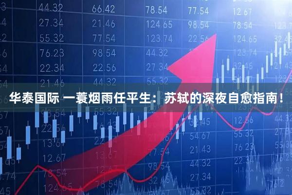 华泰国际 一蓑烟雨任平生：苏轼的深夜自愈指南！