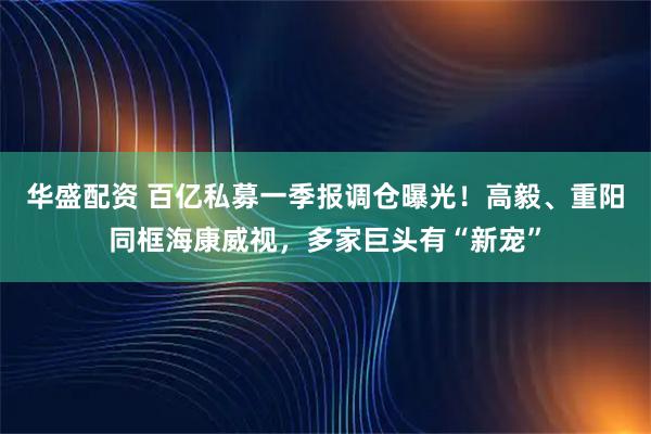 华盛配资 百亿私募一季报调仓曝光！高毅、重阳同框海康威视，多家巨头有“新宠”