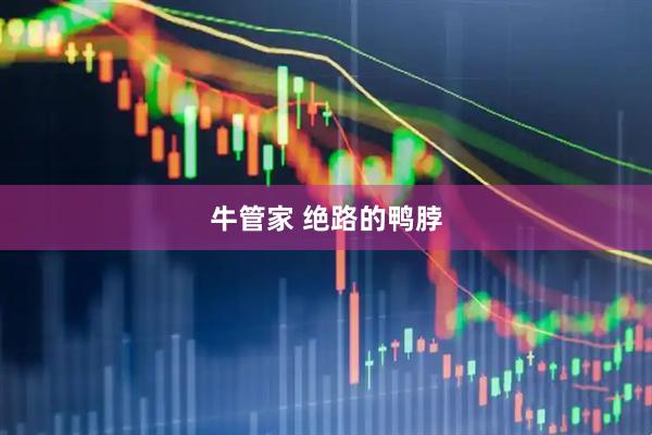 牛管家 绝路的鸭脖