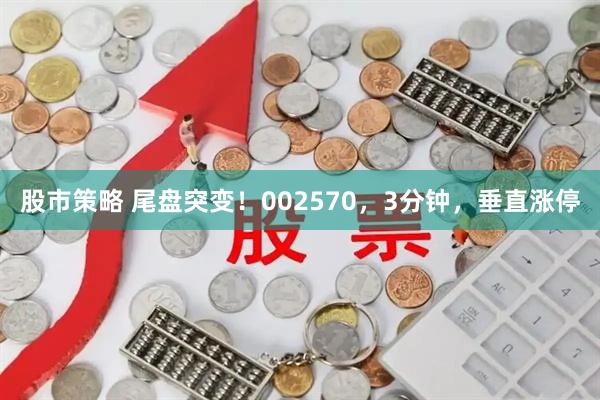 股市策略 尾盘突变！002570，3分钟，垂直涨停