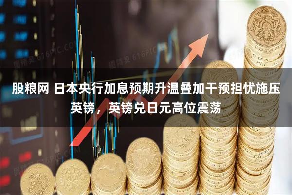 股粮网 日本央行加息预期升温叠加干预担忧施压英镑，英镑兑日元高位震荡
