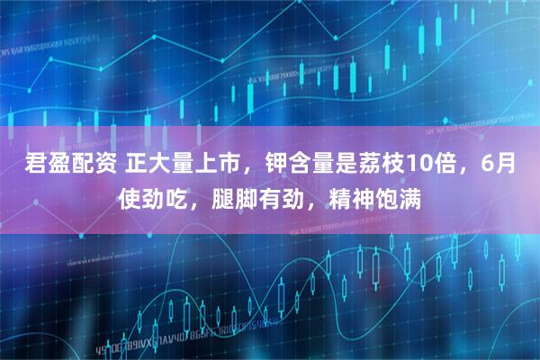 君盈配资 正大量上市，钾含量是荔枝10倍，6月使劲吃，腿脚有劲，精神饱满