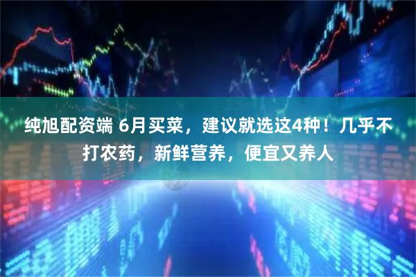 纯旭配资端 6月买菜，建议就选这4种！几乎不打农药，新鲜营养，便宜又养人