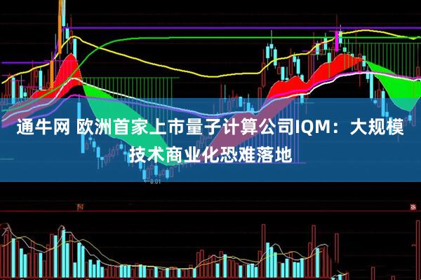 通牛网 欧洲首家上市量子计算公司IQM：大规模技术商业化恐难落地