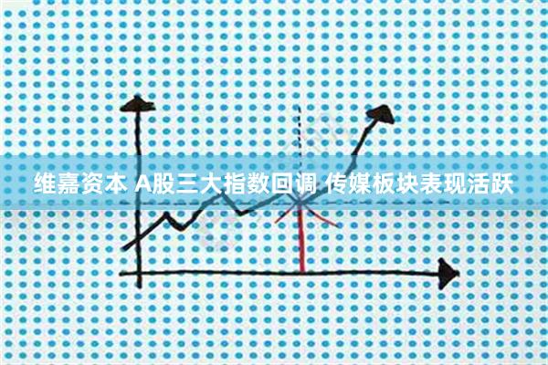 维嘉资本 A股三大指数回调 传媒板块表现活跃