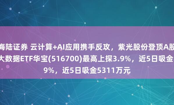 海陆证券 云计算+AI应用携手反攻，紫光股份登顶A股吸金榜！大数据ETF华宝(516700)最高上探3.9%，近5日吸金5311万元