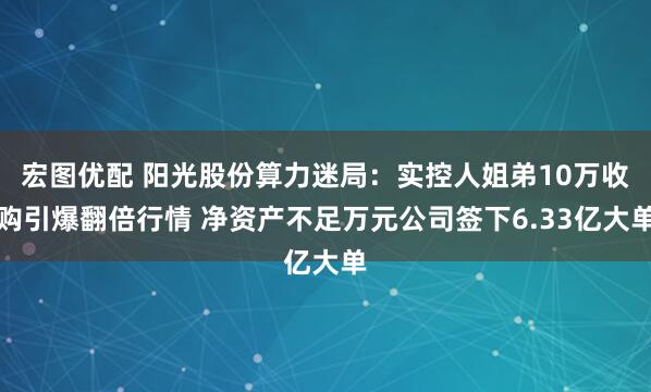 宏图优配 阳光股份算力迷局：实控人姐弟10万收购引爆翻倍行情 净资产不足万元公司签下6.33亿大单